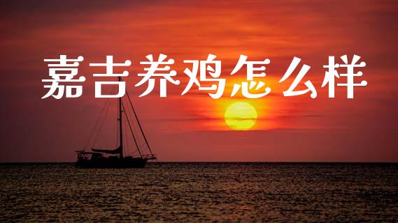 嘉吉养鸡怎么样_https://wap.lcjysmgs.com_元宇宙_第1张
