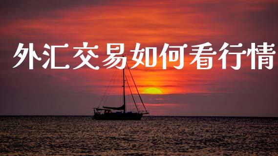 外汇交易如何看行情_https://wap.lcjysmgs.com_元宇宙_第1张