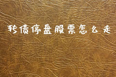 转债停盘股票怎么走_https://wap.lcjysmgs.com_元宇宙_第1张