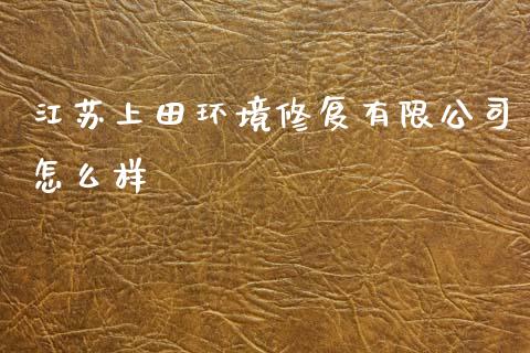 江苏上田环境修复有限公司怎么样_https://wap.lcjysmgs.com_金融交易_第1张