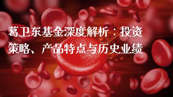 葛卫东基金深度解析：投资策略、产品特点与历史业绩_https://wap.lcjysmgs.com_金融交易_第1张