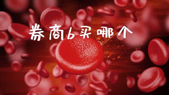 券商b买哪个_https://wap.lcjysmgs.com_原油期货_第1张