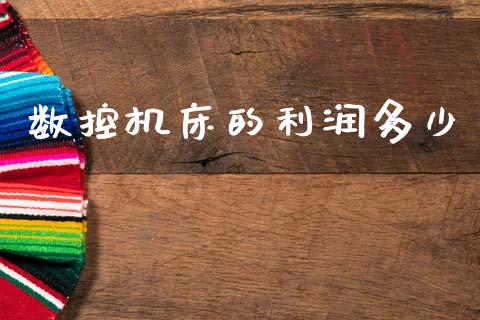 数控机床的利润多少_https://wap.lcjysmgs.com_债券基金_第1张