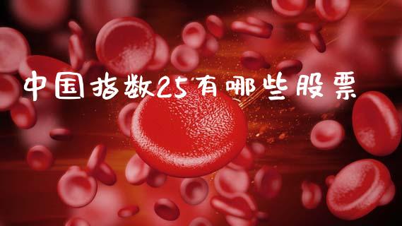 中国指数25有哪些股票_https://wap.lcjysmgs.com_债券基金_第1张