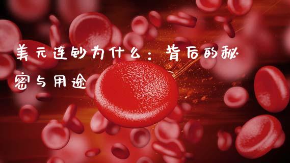 美元连钞为什么：背后的秘密与用途_https://wap.lcjysmgs.com_债券基金_第1张