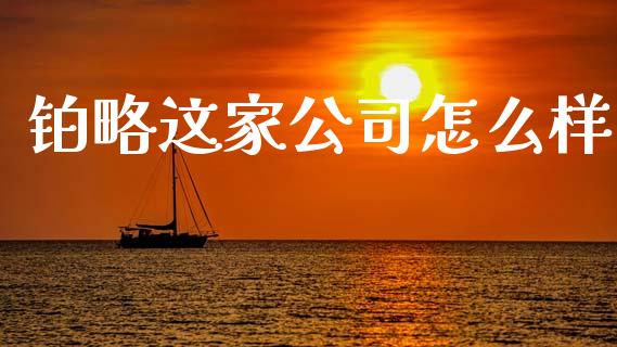 铂略这家公司怎么样_https://wap.lcjysmgs.com_金融交易_第1张
