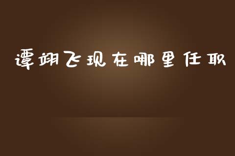 谭翊飞现在哪里任职_https://wap.lcjysmgs.com_金融交易_第1张