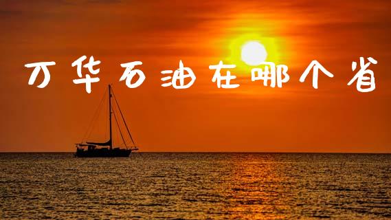万华石油在哪个省_https://wap.lcjysmgs.com_原油期货_第1张