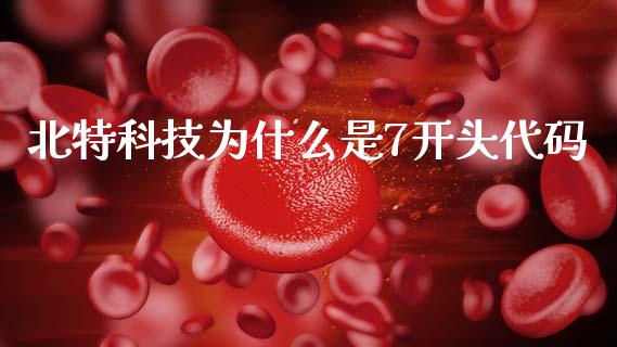 北特科技为什么是7开头代码_https://wap.lcjysmgs.com_元宇宙_第1张