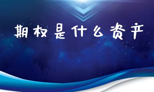 期权是什么资产_https://wap.lcjysmgs.com_原油期货_第1张