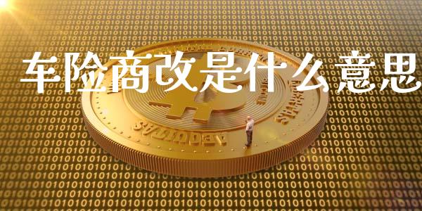 车险商改是什么意思_https://wap.lcjysmgs.com_债券基金_第1张