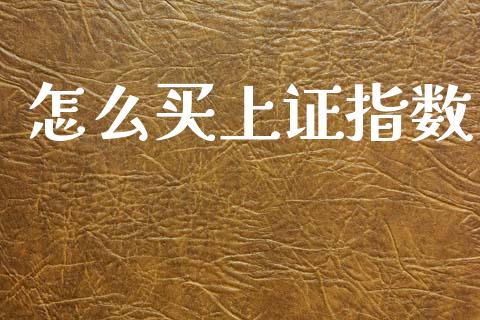 怎么买上证指数_https://wap.lcjysmgs.com_原油期货_第1张