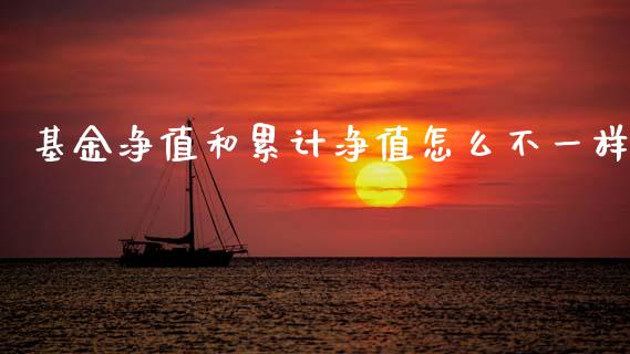 基金净值和累计净值怎么不一样_https://wap.lcjysmgs.com_元宇宙_第1张