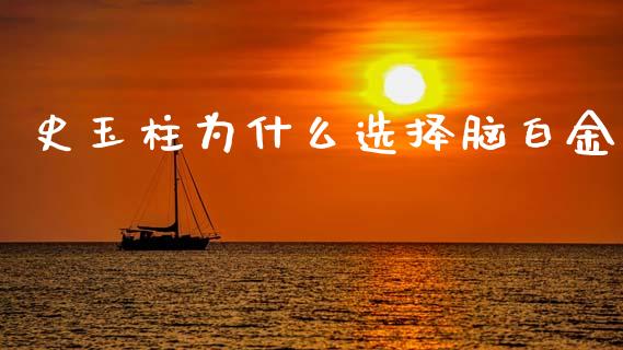 史玉柱为什么选择脑白金_https://wap.lcjysmgs.com_金融交易_第1张