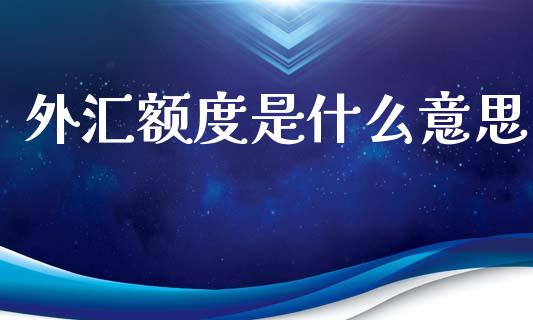 外汇额度是什么意思_https://wap.lcjysmgs.com_债券基金_第1张