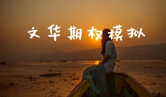 文华期权模拟_https://wap.lcjysmgs.com_原油期货_第1张
