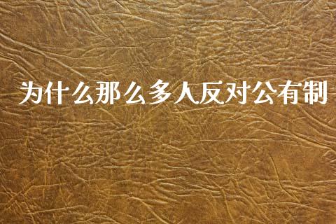 为什么那么多人反对公有制_https://wap.lcjysmgs.com_债券基金_第1张