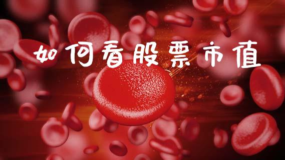 如何看股票市值_https://wap.lcjysmgs.com_原油期货_第1张
