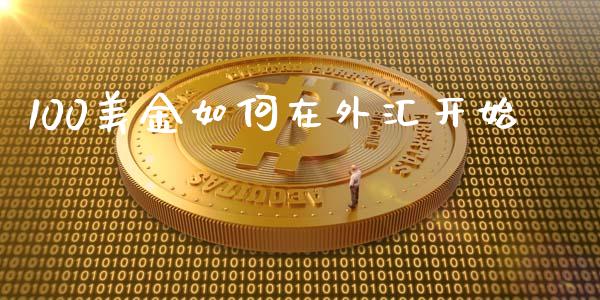 100美金如何在外汇开始_https://wap.lcjysmgs.com_金融交易_第1张