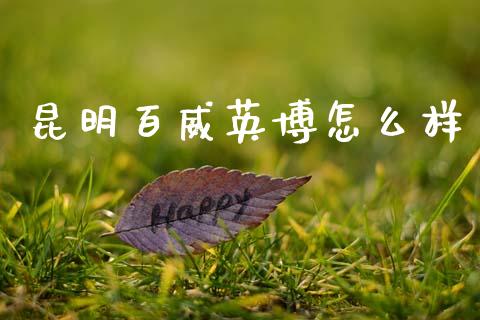 昆明百威英博怎么样_https://wap.lcjysmgs.com_金融交易_第1张