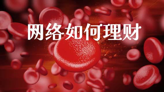 网络如何理财_https://wap.lcjysmgs.com_债券基金_第1张