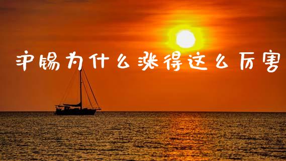 沪锡为什么涨得这么厉害_https://wap.lcjysmgs.com_债券基金_第1张