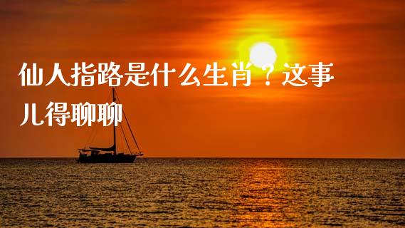 仙人指路是什么生肖？这事儿得聊聊_https://wap.lcjysmgs.com_金融交易_第1张
