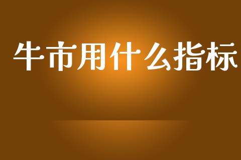 牛市用什么指标_https://wap.lcjysmgs.com_金融交易_第1张