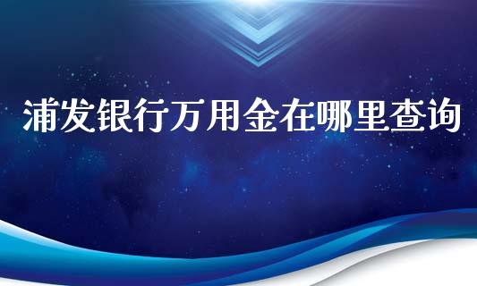 浦发银行万用金在哪里查询_https://wap.lcjysmgs.com_金融交易_第1张