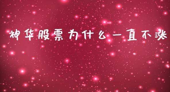神华股票为什么一直不涨_https://wap.lcjysmgs.com_金融交易_第1张