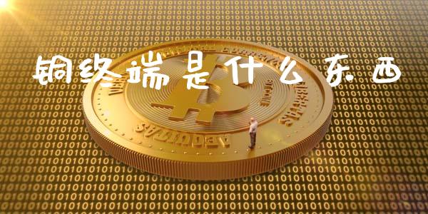 铜终端是什么东西_https://wap.lcjysmgs.com_原油期货_第1张