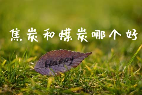 焦炭和煤炭哪个好_https://wap.lcjysmgs.com_债券基金_第1张