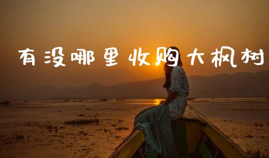 有没哪里收购大枫树_https://wap.lcjysmgs.com_金融交易_第1张
