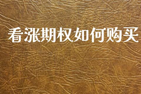 看涨期权如何购买_https://wap.lcjysmgs.com_债券基金_第1张