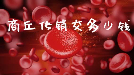 商丘传销交多少钱_https://wap.lcjysmgs.com_债券基金_第1张