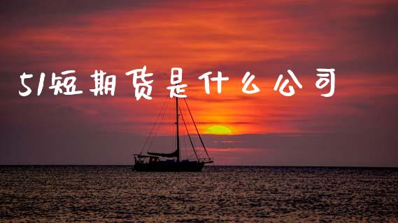 51短期货是什么公司_https://wap.lcjysmgs.com_元宇宙_第1张