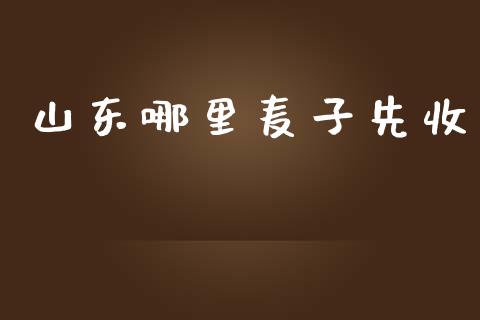 山东哪里麦子先收_https://wap.lcjysmgs.com_债券基金_第1张