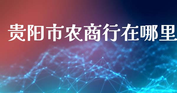 贵阳市农商行在哪里_https://wap.lcjysmgs.com_金融交易_第1张