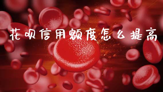 花呗信用额度怎么提高_https://wap.lcjysmgs.com_原油期货_第1张