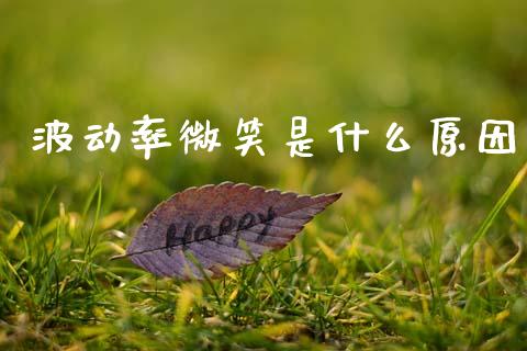波动率微笑是什么原因_https://wap.lcjysmgs.com_元宇宙_第1张