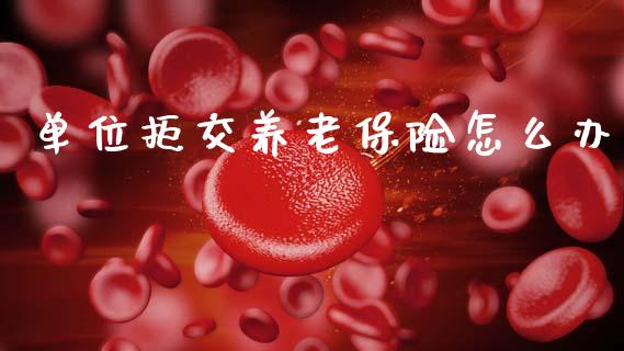单位拒交养老保险怎么办_https://wap.lcjysmgs.com_债券基金_第1张