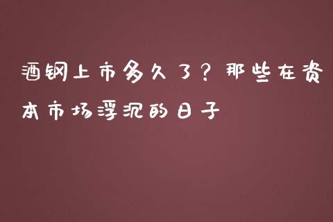酒钢上市多久了？那些在资本市场浮沉的日子_https://wap.lcjysmgs.com_金融交易_第1张