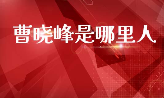 曹晓峰是哪里人_https://wap.lcjysmgs.com_元宇宙_第1张