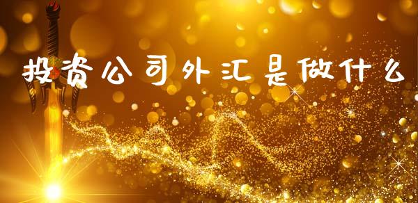 投资公司外汇是做什么_https://wap.lcjysmgs.com_元宇宙_第1张