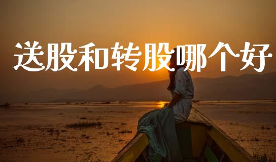 送股和转股哪个好_https://wap.lcjysmgs.com_原油期货_第1张