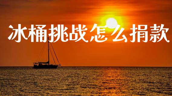 冰桶挑战怎么捐款_https://wap.lcjysmgs.com_原油期货_第1张