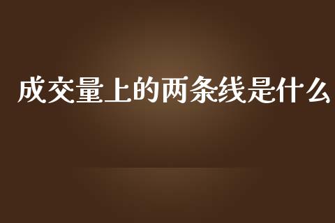 成交量上的两条线是什么_https://wap.lcjysmgs.com_元宇宙_第1张