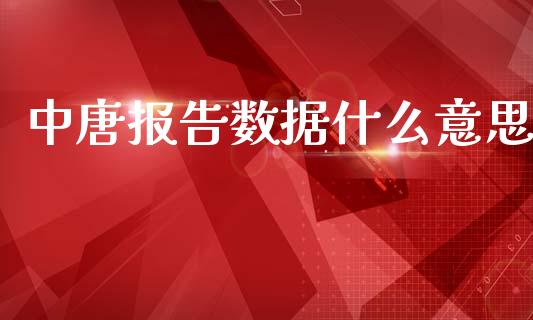 中唐报告数据什么意思_https://wap.lcjysmgs.com_原油期货_第1张