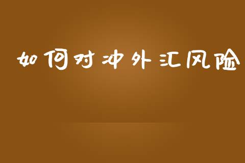 如何对冲外汇风险_https://wap.lcjysmgs.com_债券基金_第1张