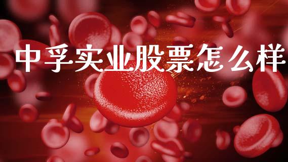 中孚实业股票怎么样_https://wap.lcjysmgs.com_债券基金_第1张
